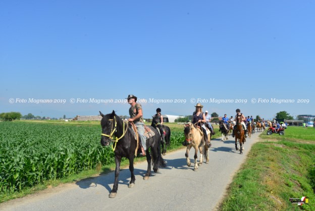 DSC_7166.JPG